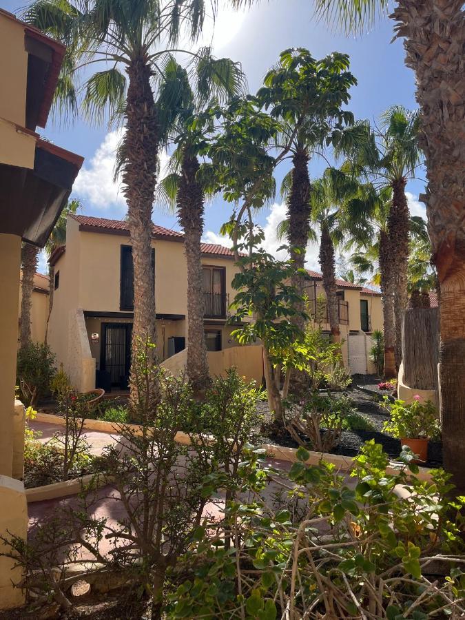Surf And Chill Bungalow 70 Daire Parque Holandes Dış mekan fotoğraf