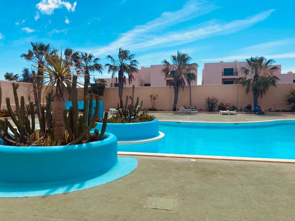 Surf And Chill Bungalow 70 Daire Parque Holandes Dış mekan fotoğraf