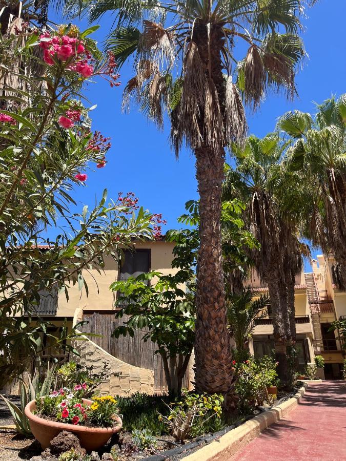 Surf And Chill Bungalow 70 Daire Parque Holandes Dış mekan fotoğraf