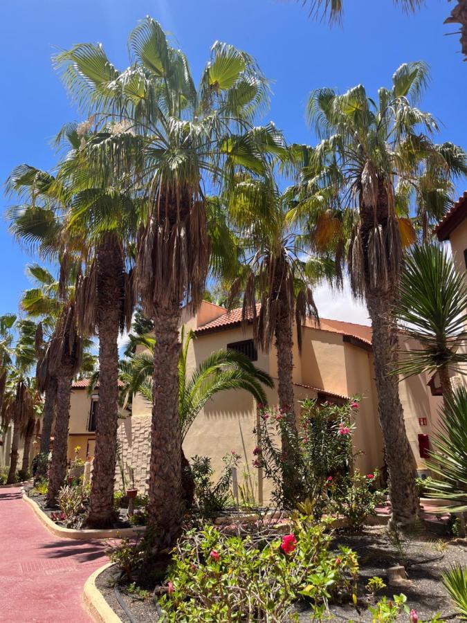 Surf And Chill Bungalow 70 Daire Parque Holandes Dış mekan fotoğraf
